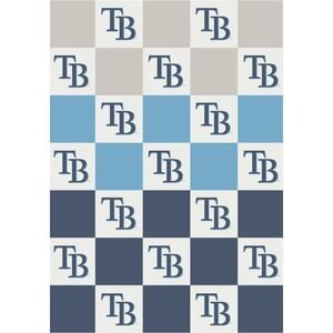 NEW The Styled Collection Tampa Bay Rays MLB Buttery Ombre Check Throw‎ Blanket